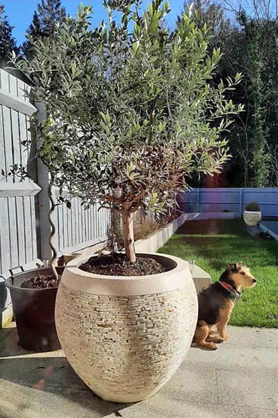 Slate and Onyx Planters